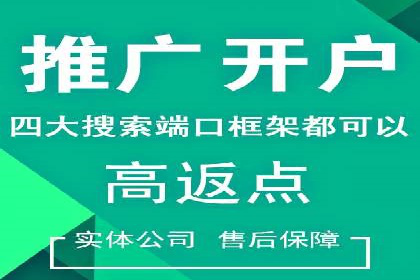 百度竞价广告投放策略：案例分析及效果评估